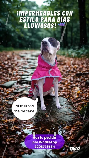 Capa Impermeable Talla L