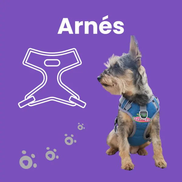 imagen Arnés 