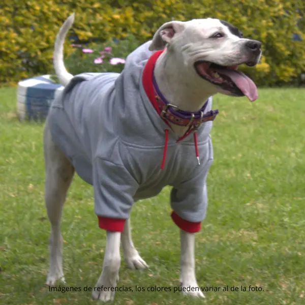 Buzo Doggy Capota Color Rojo 2XL