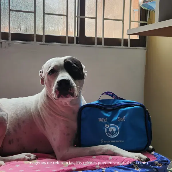 Botiquín para mascotas