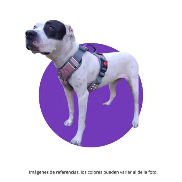 ARNES: Arnés Antitirones Talla XL