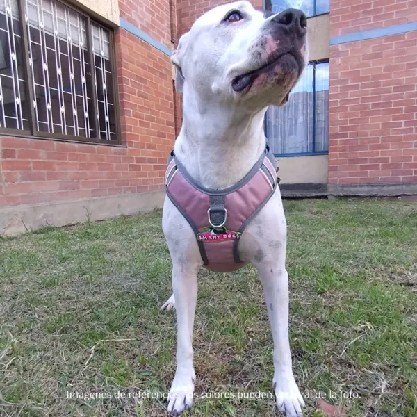 ARNES: Arnés Antitirones Talla XL