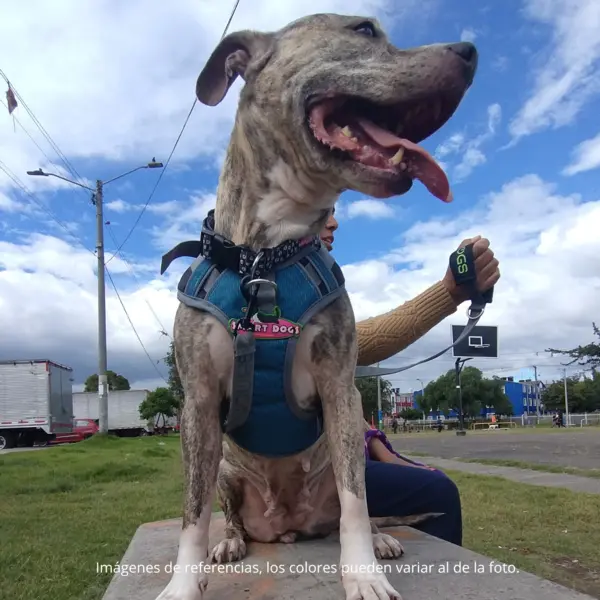 Arnés Antitirones Talla L