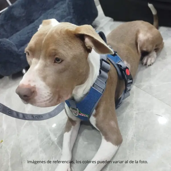 Arnés Antitirones Talla M