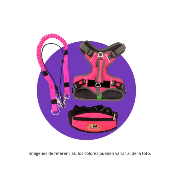 Kit de Paseo Manos Libres