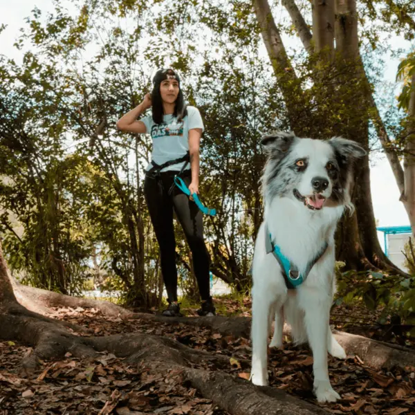 Kit de Paseo Manos Libres