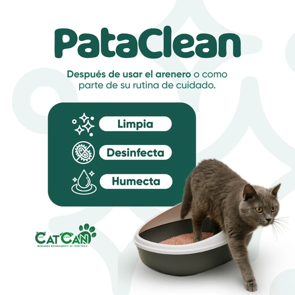 PATA CLEAN