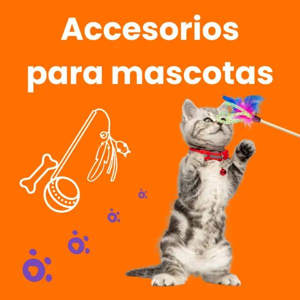 imagen Accesorios para Mascotas